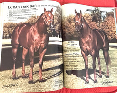 1979 Quarter Horse Journal, Book, STALLION EDITION! – KIDNAP BAR – ZAN PARR BAR