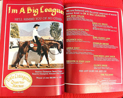 SALE ENDS 6/15! 1986 QUARTER HORSE JOURNAL Book – DYNAMIC DELUXE, ZAN PARR BAR