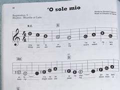 EZPLAY TODAY 393 Italian Favorites 25 ClassicSongs,Dances, and Arias Hal Leonard