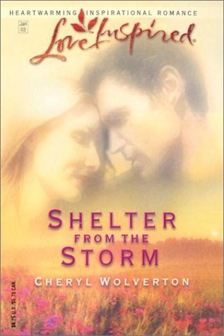 Shelter from the Storm (Everyday Heroes, Book 2) (Love Inspired #198) by Wolvert