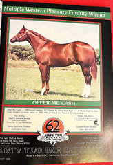 SALE ENDS 6/15! 1986 QUARTER HORSE JOURNAL Book – DYNAMIC DELUXE, ZAN PARR BAR