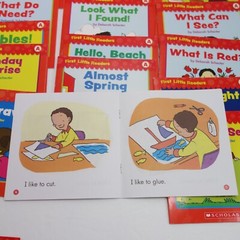Scholastic First Little Readers Level A Lot of 20 Learn to Read Emergent Reader