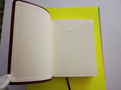 ESV Single Column Journaling Bible (TruTone, Chestnut, Leaves Design) Crossway