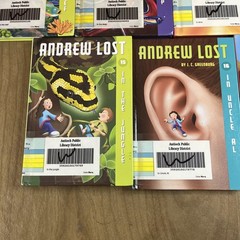 Andrew Lost Lot of 14 1-4, 6-11, 15-18by J. C. Greenburg 2 PB 12 HC Ex Libs