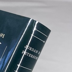 Jordan B. Peterson 2 Book Set Lot 12 Rules For Life & Beyond Order (English) EUC