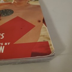 Fandemonium Red Hot Chili Peppers Book Anthony Kiedis David Mushegain