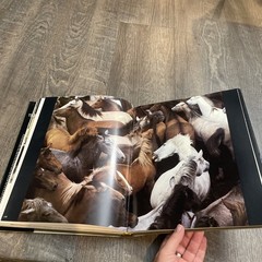 Such Is the Real Nature of Horses by Robert Vavra (1998, Hardcover/Dust Jacket)