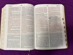 KJV Study Bible Large Print Thumb Indexed Red Letter 2011 Teal Inlay