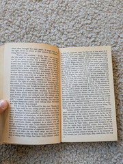 The Crying of Lot 49 by Thomas Pynchon : Vintage PB, Bantom Windstone Edit 1982