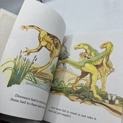 Dinosaur Hardcover Books 1991 Janet Riehecky The Child’s World Series 18 Books