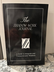 A self discovery and transformation journal. Id and work through past traumas.