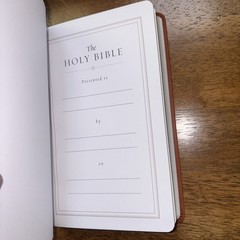 ESV Large Print Value Thinline Bible (Trutone, Camel) by Esv Bibles: New