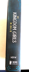 NIV, Kingdom Girls Bible, Full Color, Hardcover, Teal, Comfort Print ~ New!