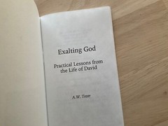 Exalting God : Practical Lessons from the Life of David by A. W. Tozer Booklet