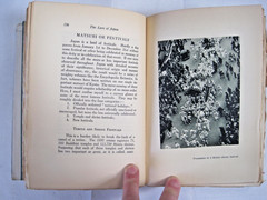 The Lure of Japan by Shunkichi Akimoto