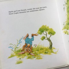 French Vintage Picture Book Jean de La Fontaine Fables 22cm Hardcover 24p