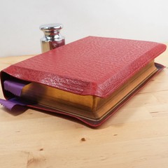 Holy Bible edited by Rev. John P. O’Connell (The Catholic Press, 1952)