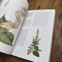 Herbal Handbook Recipes Tinctures Teas Balms And More New York Botanical Garden