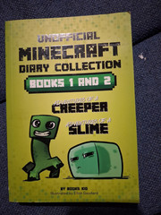 Silver Dolphin Unofficial Minecraft Diary Collection Books 1&2 Paperback Illus