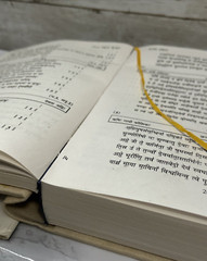 Rig Veda Samhita Sacred Hindu Texts SANSKIRT Hymns FIRST EDTION 1998 INDIA