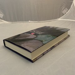 THE GOD OF SMALL THINGS – TRUE FIRST EDITION BY ARUNDHATI ROY RARE!