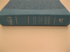 The Everyday Life Bible Teal LeatherLuxe Amplified Bible Joyce Meyer Faith Words