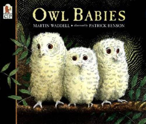Owl Babies – Paperback By Waddell, Martin – GOOD