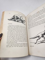 Vtg Prehistoric Animals Sam and Beryl Epstein 1956 1st Print Mylar HCDJ