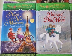 14 MAGIC TREE HOUSE chapter Books Dragon Ghosts Magicians Osborne HARDCOVERS C8