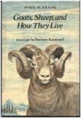 Goats, Sheep, and How They Live Hardcover Marie M. Jenkins