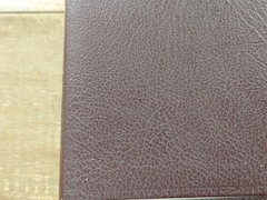 Jack Van Impe Prophecy Bible Special Limited Edition Red Letter KJV