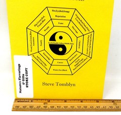 Feng Shui Basics Soft Cover Book Steve Tomblyn Paperback 24 Pages US Seller