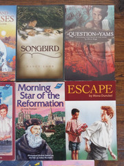 Lot 11 BJU Press Journey Forth Novels Literature Books