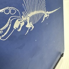 Man Time and Fossils The Story of Evolution Ruth Moore Second Edition 1963 Knopf