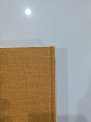 The Buchans Orebodies | 1981 GAC Special Paper 22 | Mining Geology Hardcover