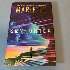 Lot 2 ~ Hardcover Books ~ MARIE LU ~ SKYHUNTER and STEELSTRIKER ~ Roaring Brook