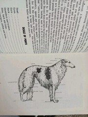 All About Borzoi Club of Northern California HC 1968 VGC Illustrated