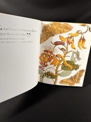 Botanicals : Butterflies and Insects by Leslie K. Overstreet (2008, Hardcover)