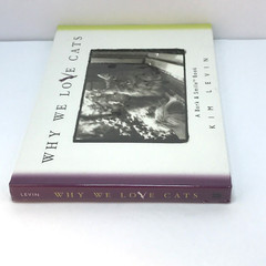 Why We Love Cats by Kim Levin. Kitty, Pets at Play, Best Friend Furry and Fluffy