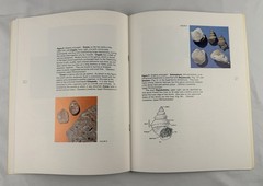 Ancient Life Found In Kansas Rocks Roger B Williams 1975 Fossils Softcover Book