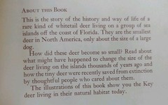 Islands of the Tiny Deer ~ VTG 1972 CHILDREN’S BOOK ~ JULIAN MAY