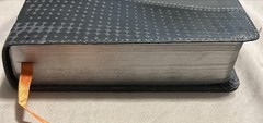 The NIV Action Study Bible – Premium 1st Edition by Sergio Cariello / David Cook