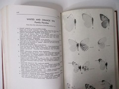 Roger Tory Peterson; FIELD GUIDES, Eastern BUTTERFLIES (1986 H.C. Book) + Ribbon