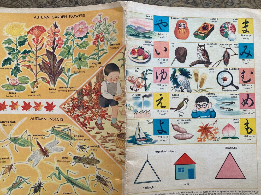 Japanese Language & Picture Book 12 Pages Color 1950s