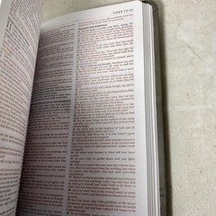 KJV Deluxe Gift & Award Bible (Gray) (King James Bible) Red Letter by Barbour