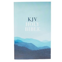 KJV Wholesale Outreach Bible Paperback BRAND NEW Case Lot of 28 Bibles!!