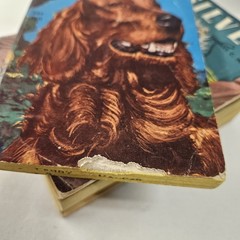 Vtg Scholastic TAB Books 1960s Softcover Mystery Horses Animal Dog Lot