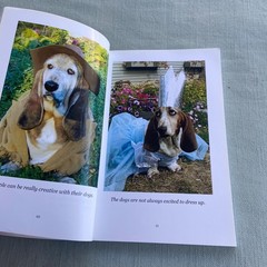 Coffee With Mr Bear Fun Stories About His Friends Gene Wilson 1st Ed. 2017 Book
