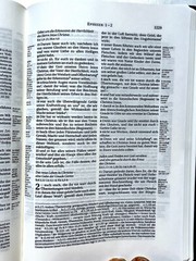 German Bible, Die Bibel, Schlachter 2000, Imitation Leather, Brown Black 2-toned