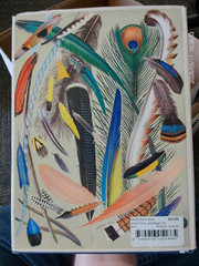 James Fisher and Roger Tory Peterson’s World of Birds